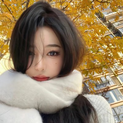 菜鸟老警第七季